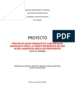 Proyecto Aldea Clarines v1