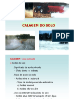 Aula 4 - Calagem