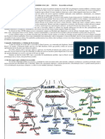 7º Ano 4º Bimestre A Economia Colonial e o Tráfico Negreiro