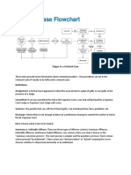 Criminal Case Flowchart