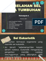 Pembelahan Sel Meiosis Pada Tumbuhan