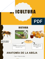 Abejas Exposicion