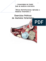 Roteiro Exercicio Morfo I PDF