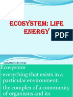 ECOSYSTEM