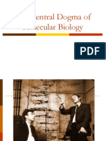 Central Dogma of Molecular Biology