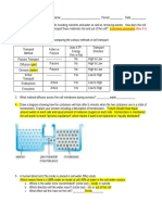 Cell Processes Study Guide Key