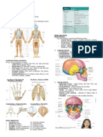 Analab Skeletal Reviewer Michie PDF