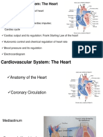 Cardiovascular System: The Heart