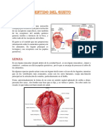 Sentido Del Gusto