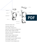 Fisiologia Da Voz