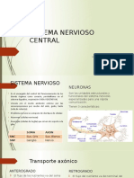 Sistema Nervioso Cental