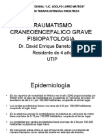 Traumatismo Craneoencefalico Grave Fisiopatologia