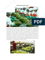 Agroexportacion en El Perú