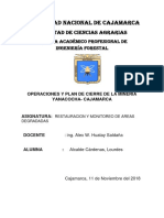 Informe de Mineria Yanacocha