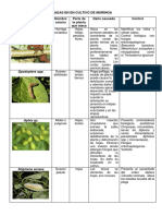 Manejo Plagas Enfermedades Moringa