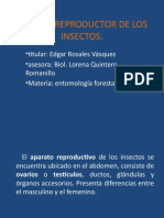 Sistema ReProductOr de Los Insectos