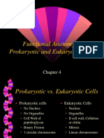 Functional Anatomy of Prokaryotic and Eukaryotic Cells