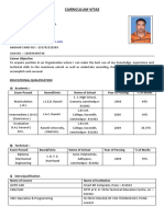 Curriculum Vitae (Avinash Kumar)