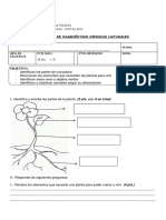 Diagnóstico Ciencias 3° Básico