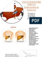 Glucogenosis Tipo 4