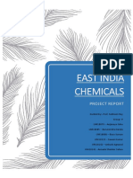 East India Chemicals: Project Report