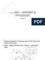 Thyroid Gland Basics