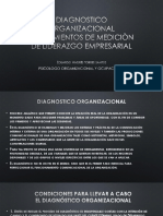 Diagnostico Organizacional en El Liderazgo Empresarial