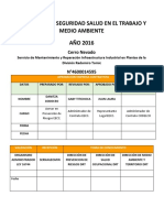 Guia Formato de Programa de SST Ano 2016 DRT Rev1