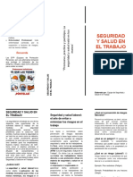 Boletin SST