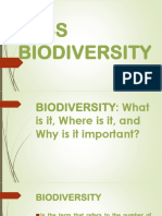 Loss of Biodiversity