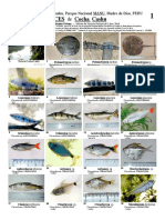 Guiadecampo CochaCashu Peces Manu PDF