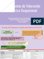 Instrumentos de Valoración Geriátrica Ocupacional