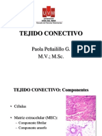 Clase Tejidos Conectivos 2019