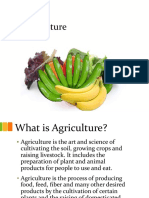 Agriculture New 190610123319