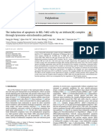 Lysosome Mitochondriapathway Apoptosis