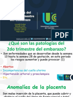 Enfermedades Del Segundo Trimestre de Embarazo