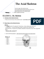 LAB - The Axial Skeleton: Objectives