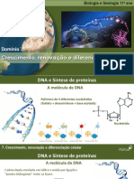 BioGeo11 AE D7 18 Crescimento Renovacao Diferenciacao Celular