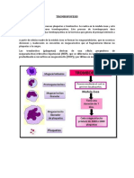 TROMBOPOYESIS 