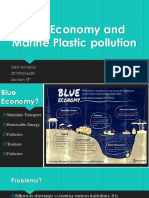 Blue Economy and Marine Plastic Pollution: Sahil Acharya 2019SMF6659 Section-'B"