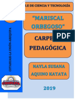 Carpeta Pedagogica 2019