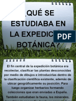 ¿Qué Se Estudiaba en La Expedición Botánica?