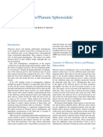 Olfactory Groove/Planum Sphenoidale Meningiomas: Douglas Fox, Vini G. Khurana, and Robert F. Spetzler