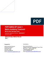 DOS Matrix Acidizing Treatment PEPA1 BN-45 DOS V1 180119