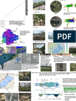 Case Study of Lakes in Bangalore