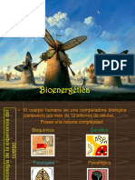 Bioenergética