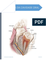 Sebenta de Histoligia Oral I