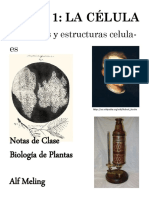 Tema 1 La Celula PDF