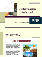 Contaminacion Ambiental