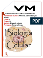 Proyecto Final de Biologia Celular Olimpia Jazmin Barajas Nuñez PDF